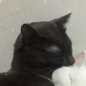 Meet your Posher, River